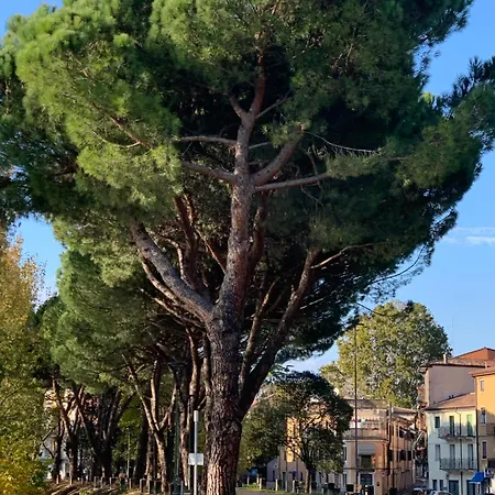 Vivere Original Verona